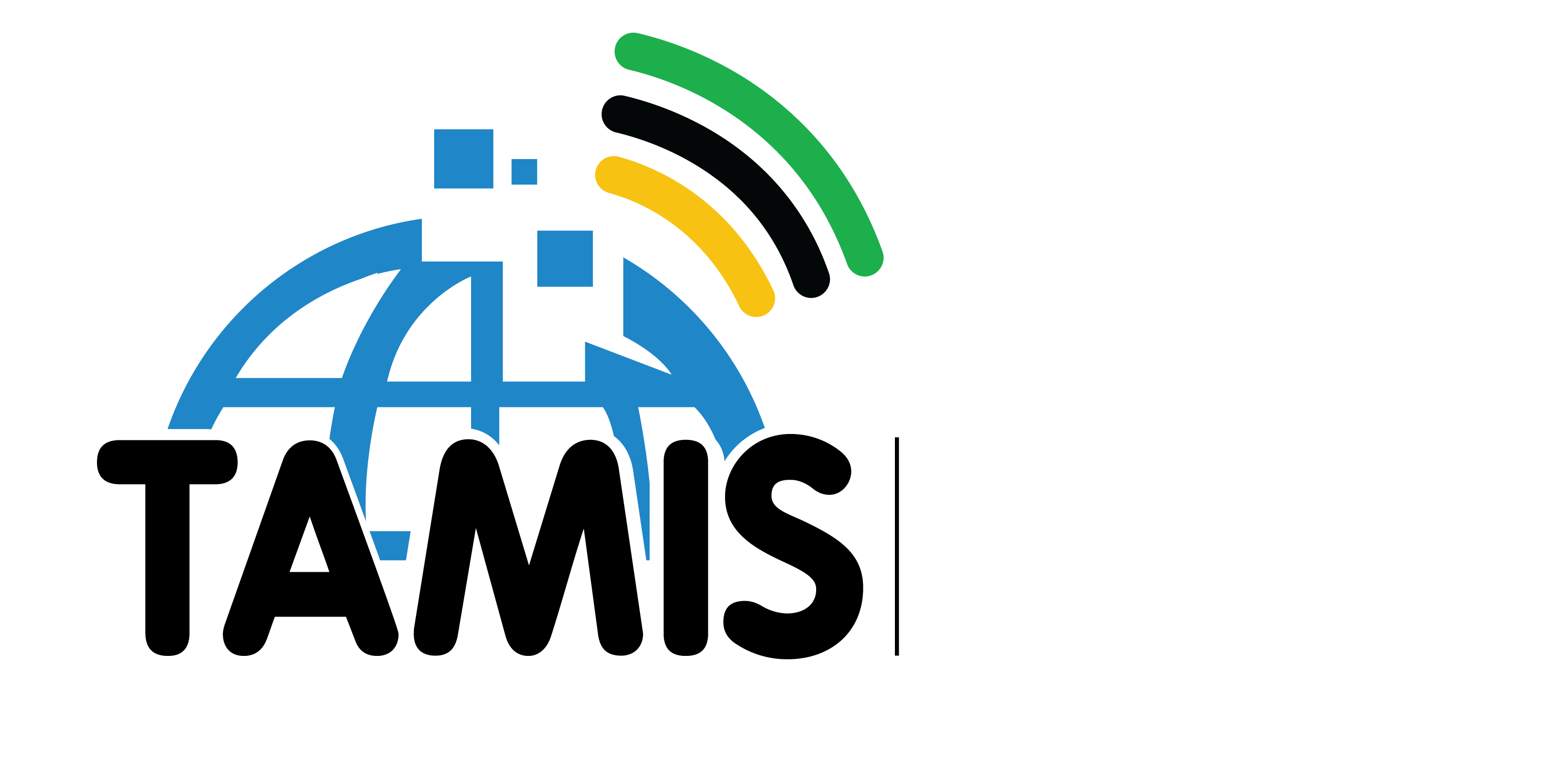 TAMIS Logo